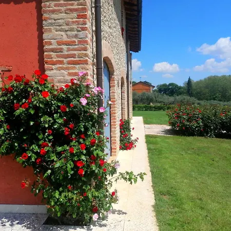 Dolce Colle